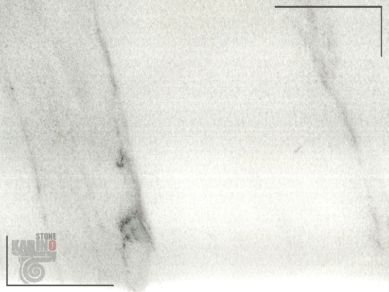 چینی لایبید هاله دار طوسی زرد